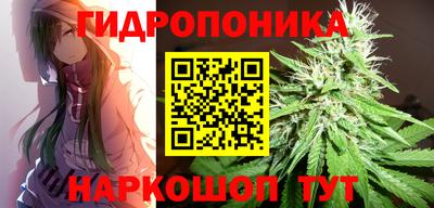 амф Камышлов