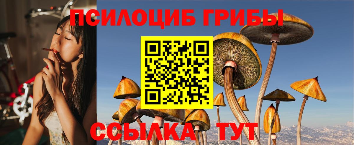 Псилоцибиновые грибы Magic Shrooms  Вход с VPN  Галлюциногенные грибы мицелий  Кудрово 